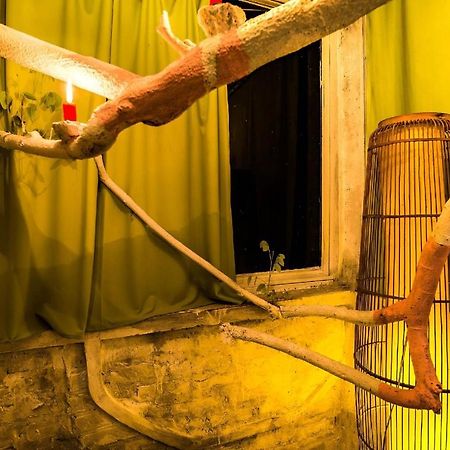 Dao Anh Khanh Tree House Ханой Екстер'єр фото