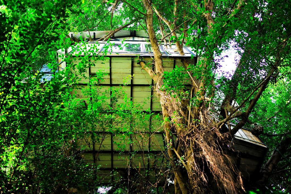 Dao Anh Khanh Tree House Ханой Номер фото