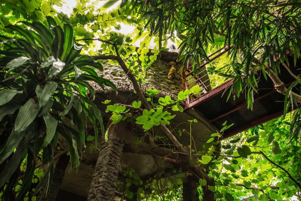 Dao Anh Khanh Tree House Ханой Екстер'єр фото