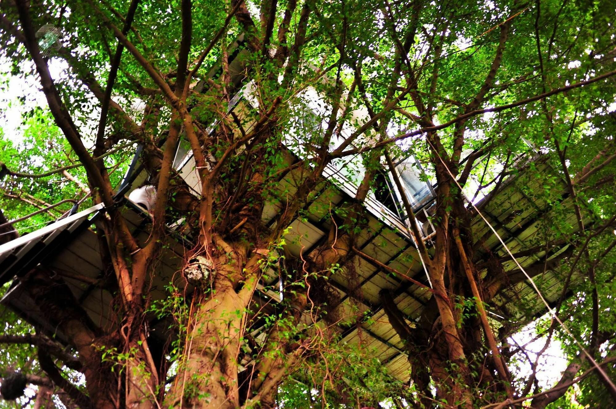 Dao Anh Khanh Tree House Ханой Екстер'єр фото