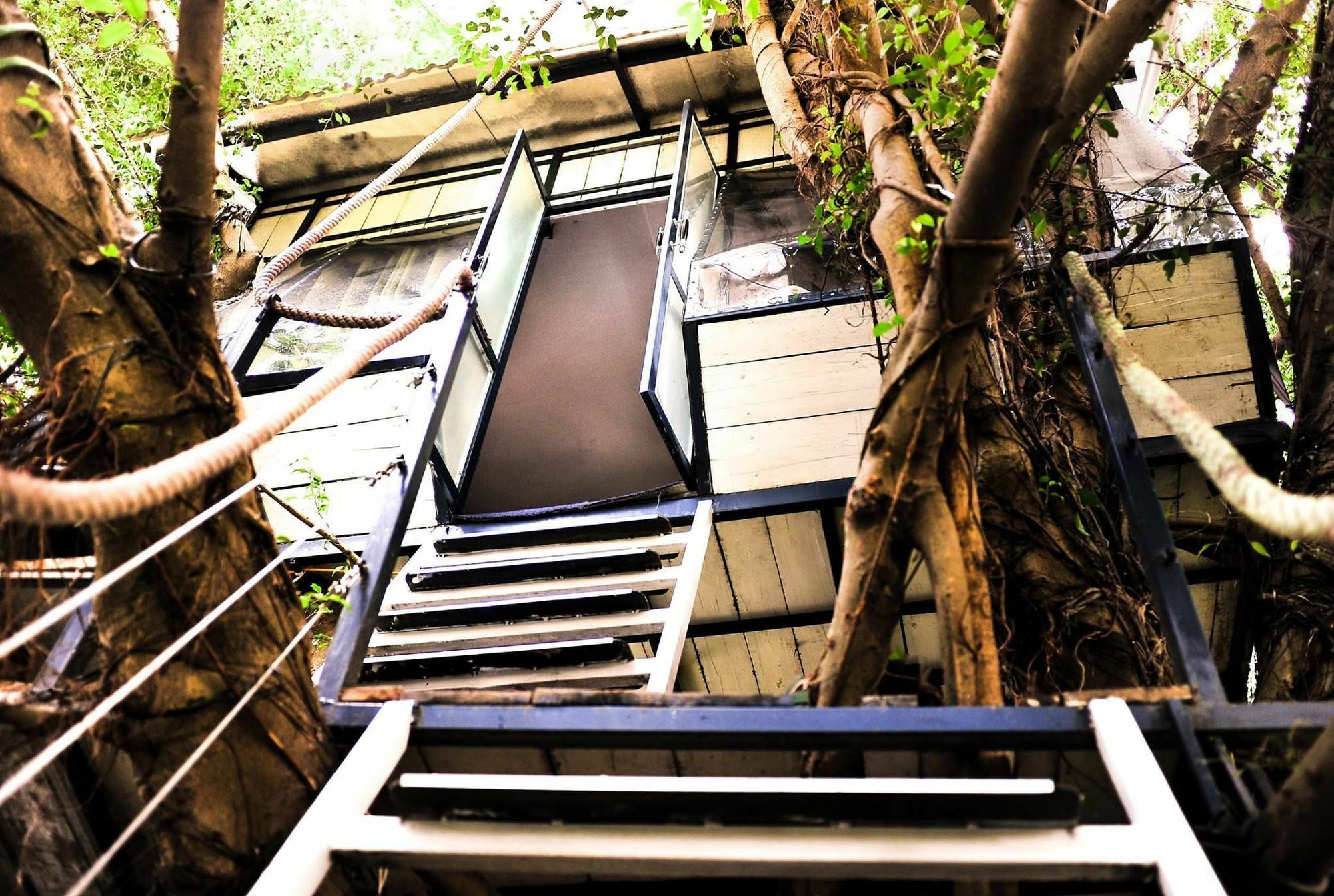 Dao Anh Khanh Tree House Ханой Екстер'єр фото